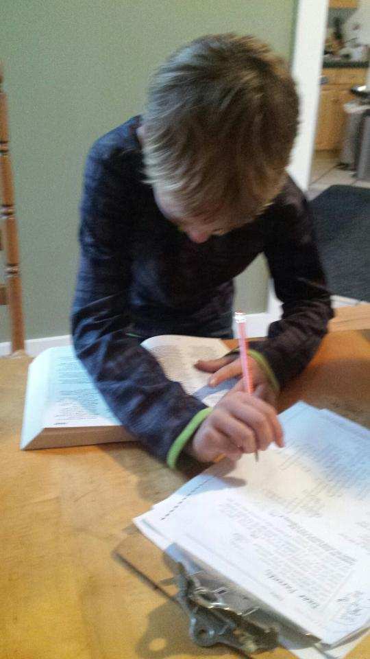 Dictionary helps with homework